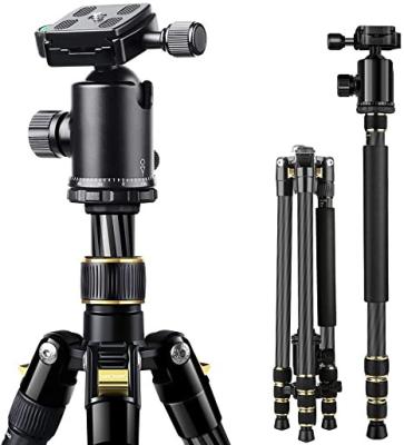 China PORTABLE Concept Carbon Fiber Camera Tripod Lightweight Professional Camera Tripod with Carry Bag for sale