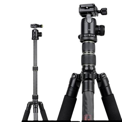 China PORTABLE New Design Video Camera Tripods Professional Large Heavy Duty Carbon Fiber Tripod for sale