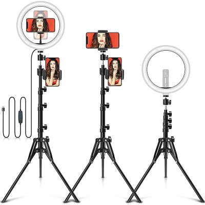 China Professional PORTABLE Selfie Photo Studio Live Show Tik Tok Broadcast Ring Fill Light Lamp 10W 10Inch Led Live Tripod Stand Makeup Video for sale