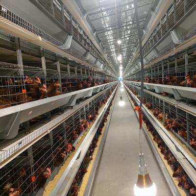 China Poultry Field Wholesale Industrial Poultry Design Full Automatic Egg Layers Battery Used In Chicken Cage System For Sale for sale