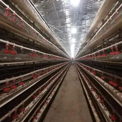 China Poultry Field Poultry Equipment For Quail Quail Cage Hot Galvanized Poultry House Or Plastic Liner Full Automatic Farms Bird Nigeria 720 for sale