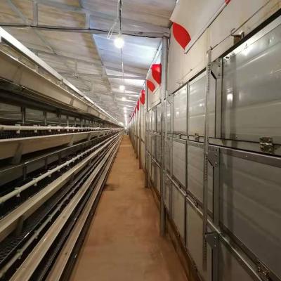 China High quality field H type poultry chicken cages egg layer quail cages for sale chicken layer cage for sale