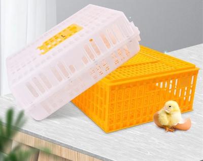 China High quality plastic poultry field transport bird cages for live chickens/chicken transport cages/poultry transport crate for sale