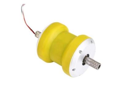 China 4.0 Inch Wheel Motor 250W 18V 26V High Power Totally Enclosed Electric Hub Motor For Motorcycle for sale