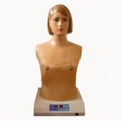 China High quality vivid cardiopulmonary and half body computer auscultation and palpation manikin for sale