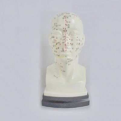 China Made of ADA-Y1012 PVC head four function acupuncture acupoint model 20CM for sale