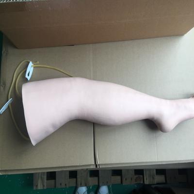 China Used to train or teach human body part simulation ADA-HS16 intravenous leg transfusion medical models for sale