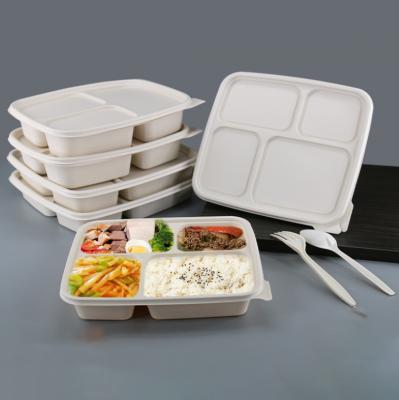 China Wholesale Eco-friendly Disposable Food Containers Meal Tray Biodegradable Lunch Box For Quick Take Away Cornstarch 3 4 5 Compartmen Container for sale