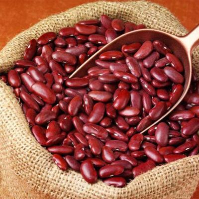 China Fresh Original Dwarf Bean Phaseolus Red Healthy Kidney Bean for sale