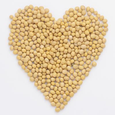 China Wholesale China Fresh Bulk Dry Soybeans Forages Yellow Soybeans For Sale for sale