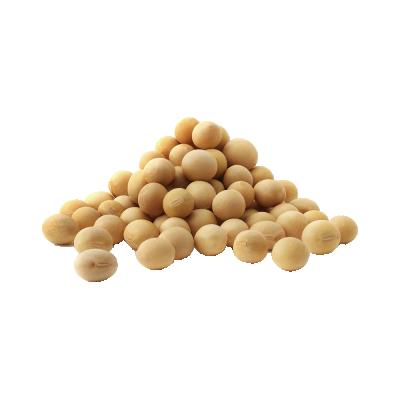 China Non-GMO Fresh Wholesale Yellow Soybeans Grade 1 Organic Soybeans for sale