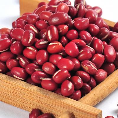 China China Manufacturer Export Of Agricultural Products Fresh Adzuki Bean for sale