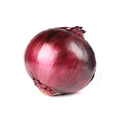 China Fresh Fresh Purple Onion From Chinese Fresh Onion Supplier for sale