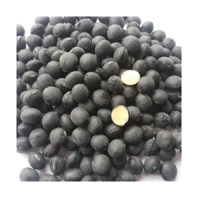 China Wholesale High Quality Fresh Organic Soy Bean Soybean Blend 0.5% Moisture13% Non GMO for sale