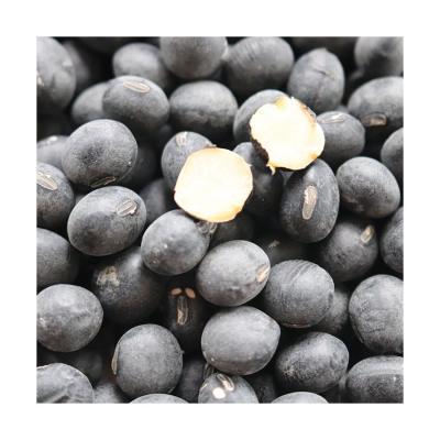 China Hand Planter Beans Grain Fresh Blend 0.5% Organic Black Non-GMO Soybeans for sale