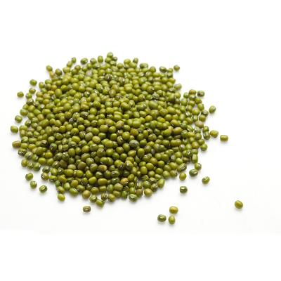 China No addition natural organic polished green mung beans big export mung beans for germination for sale