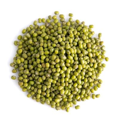 China No Addition 2021 Green Mung Beans Dimension 3.6mm Chinese Organic Natural Green Beans for sale