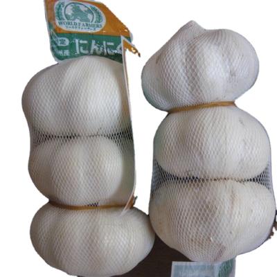 China New Product Organic Pure White Garlic Fresh Pure White Garlic Price, Various Garlic Packing for sale