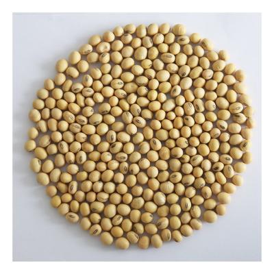 China Fresh professionally made cheap yellow organic wholesale soybeans for sale