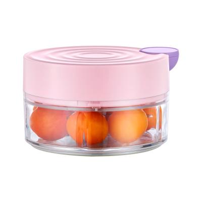 China Viable Manual Vegetable Chopper Hand Held Veget Chopper of Food Processor Multifunctions for sale