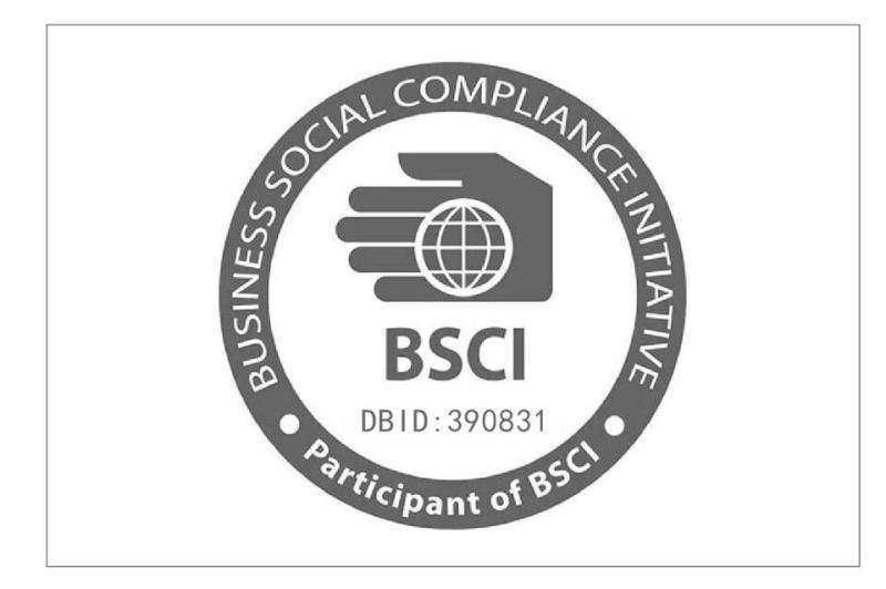 BSCI - Jiangsu Huanyi Industrial Co., Ltd.