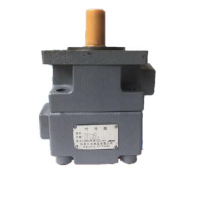 China Vane Pumps Hydraulic Vane Pump China Brand Vane Pump For Machine Tools YB1 YB1-40 YB1-50 YB1-63 YB1-80 YB1-100 for sale