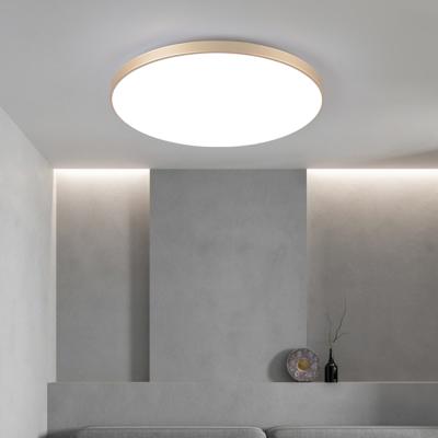 China Dingdian LED Ultrathin Energy Saving Dusty Proof AC220V 32W Modern Ultra Thin White LED Daily Ceiling Lights for Bedroom Dining Room for sale