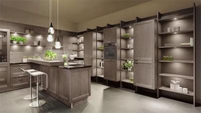 China Gray Solid Wood Kitchen Cabinets / Full Kitchen Cabinet Set Adjustable Legs for sale