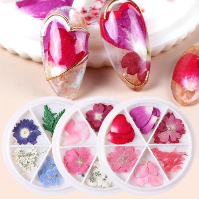 China Easy Apply Hot Selling Dry Flowers Nail Art Decoration Daisy Leaf Spring Natural Nail Flowers for sale