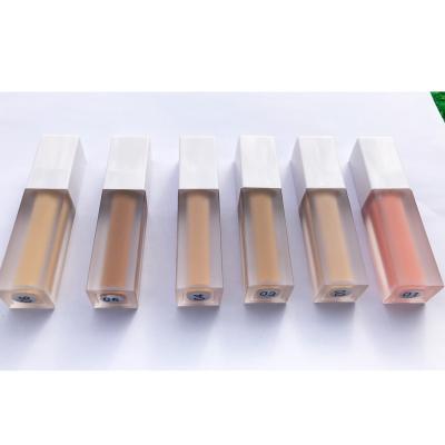 China Moisturizer Daily Use Cosmetics Create Moist Concealer Natural Looking Liquid for sale