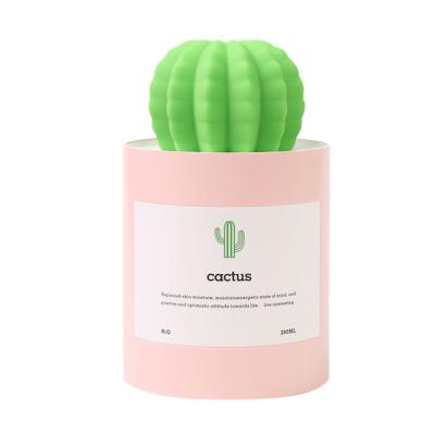 China High Quality Air Humidifier Car Nano Cactus Sprayer for sale