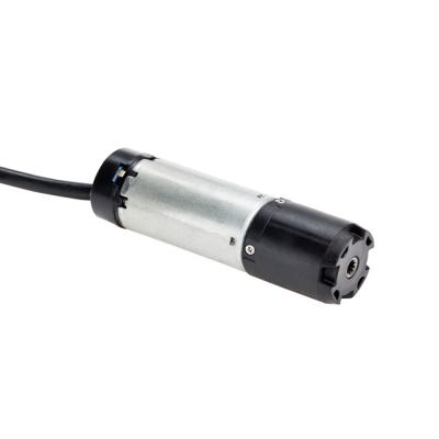 China Low Noise 28mm DC 12v Planetary Motor Gearbox Electric Motor With Small Gearbox for sale