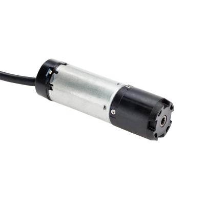 China Home high torque12V planetary gearhead DC motor 130 rpm 18:1 application 30MM ratio for sale