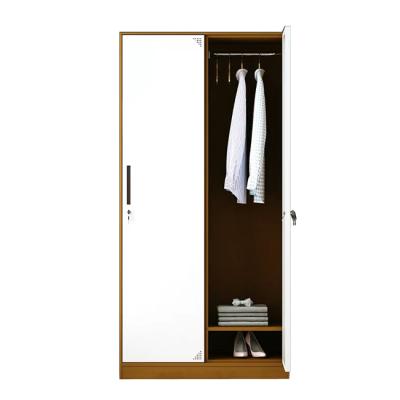 China Convertible 50 Pcs Convertible Bedroom Furniture Modern Steel Two Door Locker Wardrobe Home Carton T/T for sale