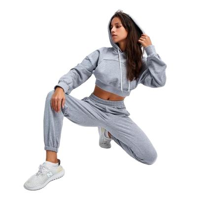 China Breathable Custom Women Sweat Suits Solid Sweatpants And Hoodie Set for sale