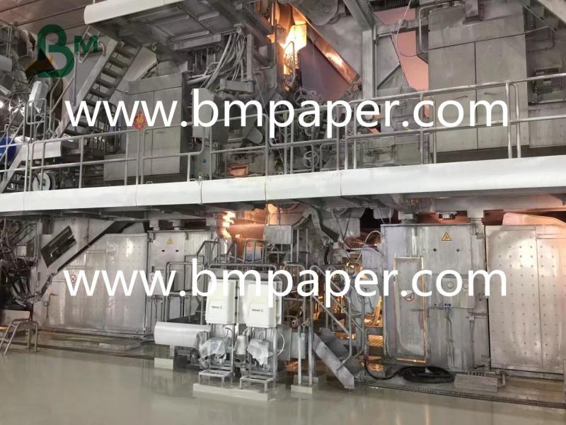 Proveedor verificado de China - GUANGZHOU BMPAPER CO.,LTD