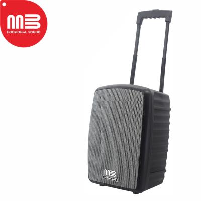 China Factory Manufacture Various Best Twin Party Outdoor Speaker Boxes MS-8005D for sale