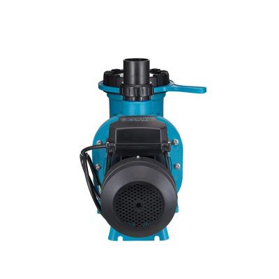 China Water Filter Pump Factory Wholesale KLQ-AKP350 Outdoor Spa Pool Swimming Water Pump For Sand Filter Circulation Pump for sale