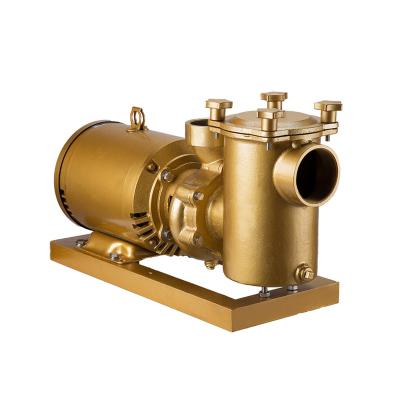 China 380V Big Flow KLQ-BP50/75 Powerful Electric Copper Electric Swimming Pool Water Pumps for sale