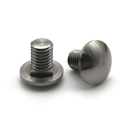 China High Tensile SS304 SS316 Stainless Steel Mushroom Head Square Neck Bolts M8 Carriage Bolt Galvanized for sale