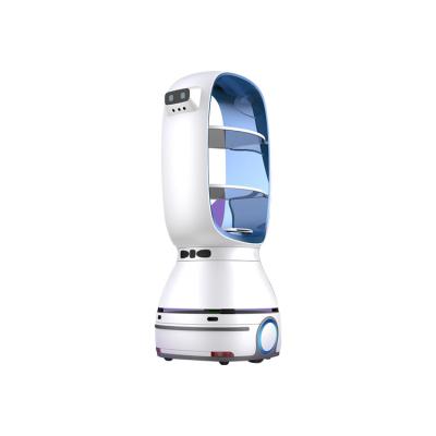 China Cost-effective Leeno Restaurant Mapping and Path Planning Restaurant Robot Server for sale