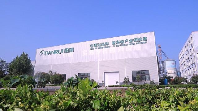 Verified China supplier - Qingdao Tianrui Technology Group Co., Ltd.