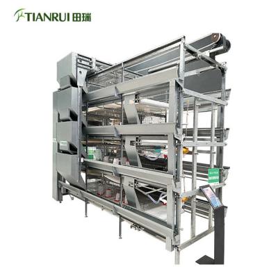 China Farms H Type Automated Pullet Brood Cage Systems Poultry Animal Husbandry Farm Reliable Cage for sale