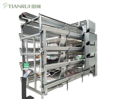 China Cheap Full Automatic Poultry Brooder Chicken Cage System For Chicken Cage for sale