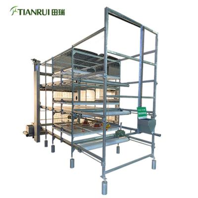 China Farms Hot Sale Galvanized Automatic Broilers Cage Poultry For Farm Equipment for sale