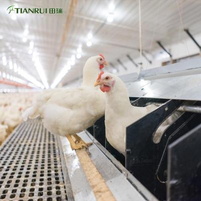 China Farms New Design Plastic Slat Flooring For Poultry Broiler Slat Flooring For Poultry for sale