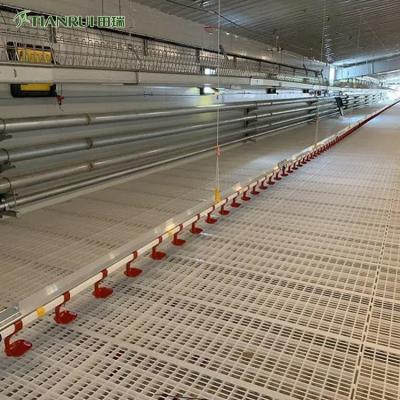 China Farms Broiler Chicken Farming New Type Poulry Floor Slat Plastic Floor Slat Chicken for sale