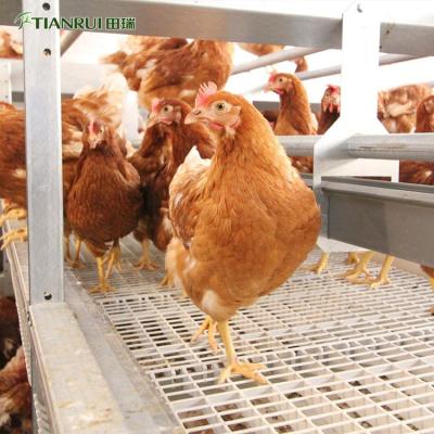 China Farms Floor Plastic Broiler Chicken Slat Slat Plastic Flooring Flooring For Broiler Farm Chicken House for sale