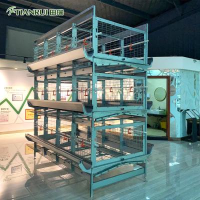 China Farms chicken cages for breeders hens for sale