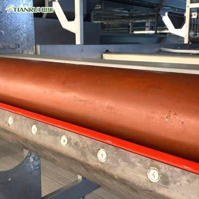 China Farms Farm Poultry Manure Cleaning Belt For Chicken Manure Conveyor Belt for sale